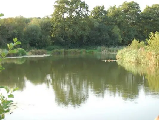 Woodpeckers Fishery is now permanently closed